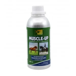 Muscle-Up 450ML