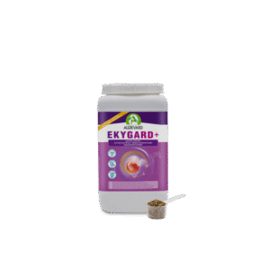 Ekygard+ 2.4 kg