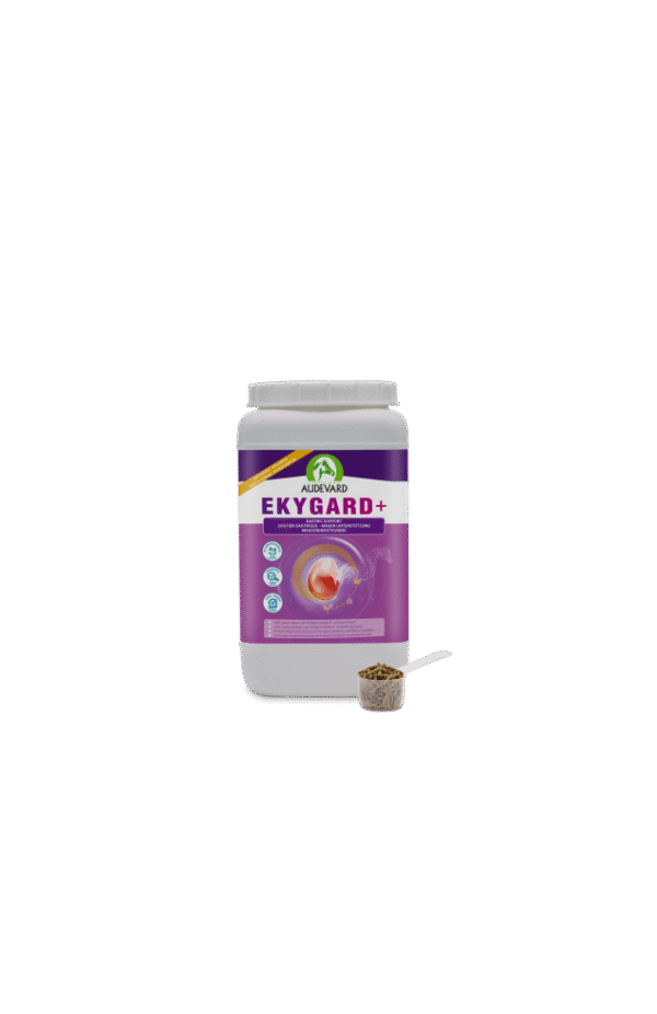 Ekygard+ 2.4 kg